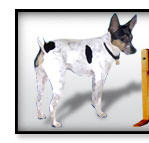 The White Blur Superhero